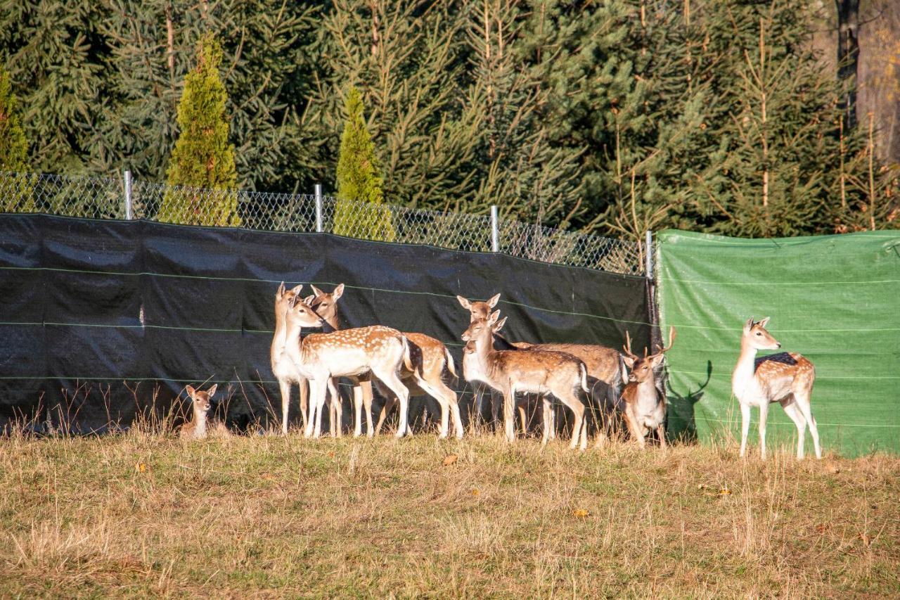 Grand Tatry - Miejsce Na Wyjatkowy Pobyt Dla Ciebie I Twojej Rodziny! - Sauna I Jacuzzi Wliczone W Cene Pobytu -10 Minut Pieszo Od Term Bania Бялка Татранска Екстериор снимка