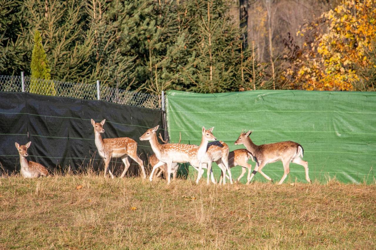 Grand Tatry - Miejsce Na Wyjatkowy Pobyt Dla Ciebie I Twojej Rodziny! - Sauna I Jacuzzi Wliczone W Cene Pobytu -10 Minut Pieszo Od Term Bania Бялка Татранска Екстериор снимка